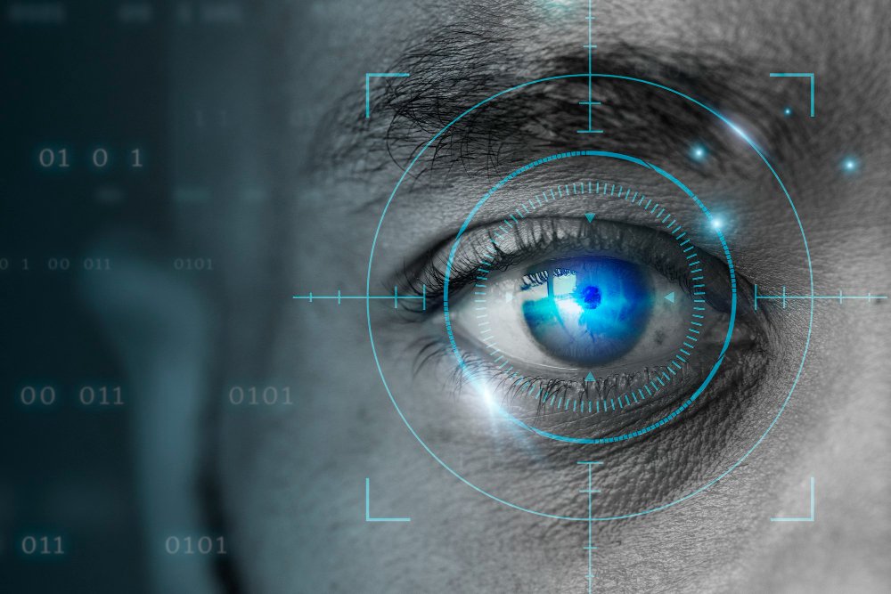 Visibilidad de Tu Negocio - Sitio Web